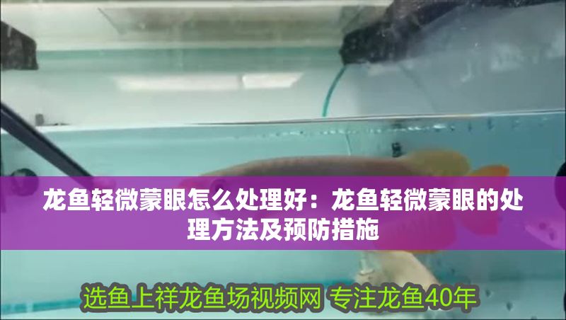 龍魚輕微蒙眼怎么處理好：龍魚輕微蒙眼的處理方法及預防措施