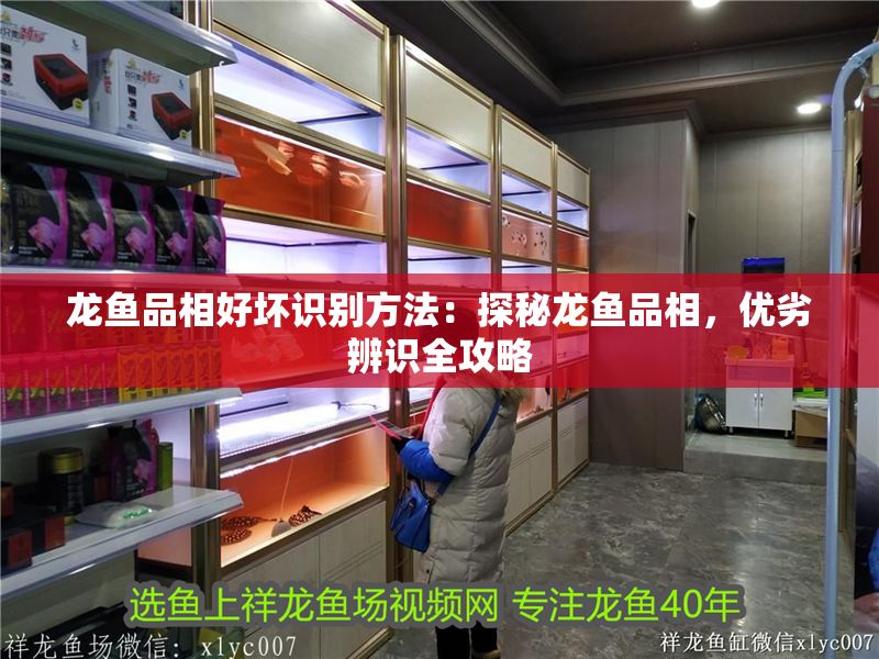 龍魚品相好壞識別方法：探秘龍魚品相，優(yōu)劣辨識全攻略