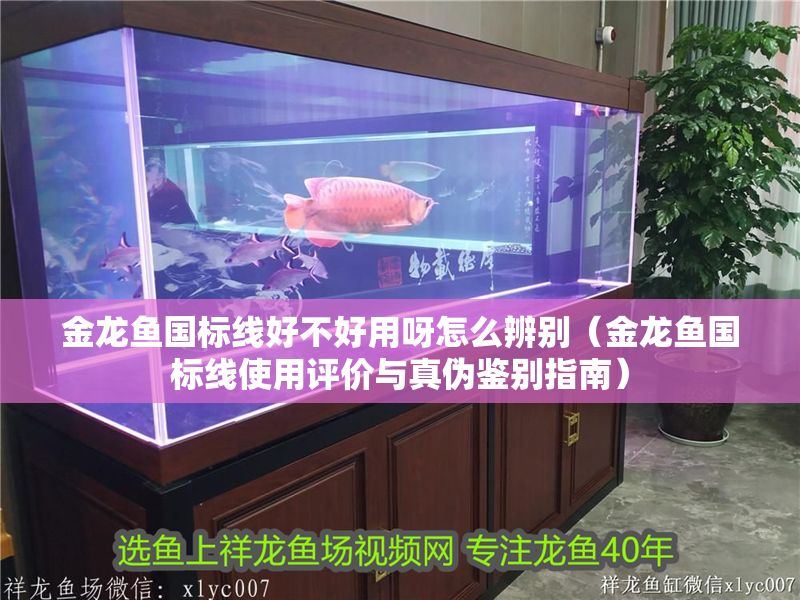 金龍魚國標線好不好用呀怎么辨別（金龍魚國標線使用評價與真偽鑒別指南）
