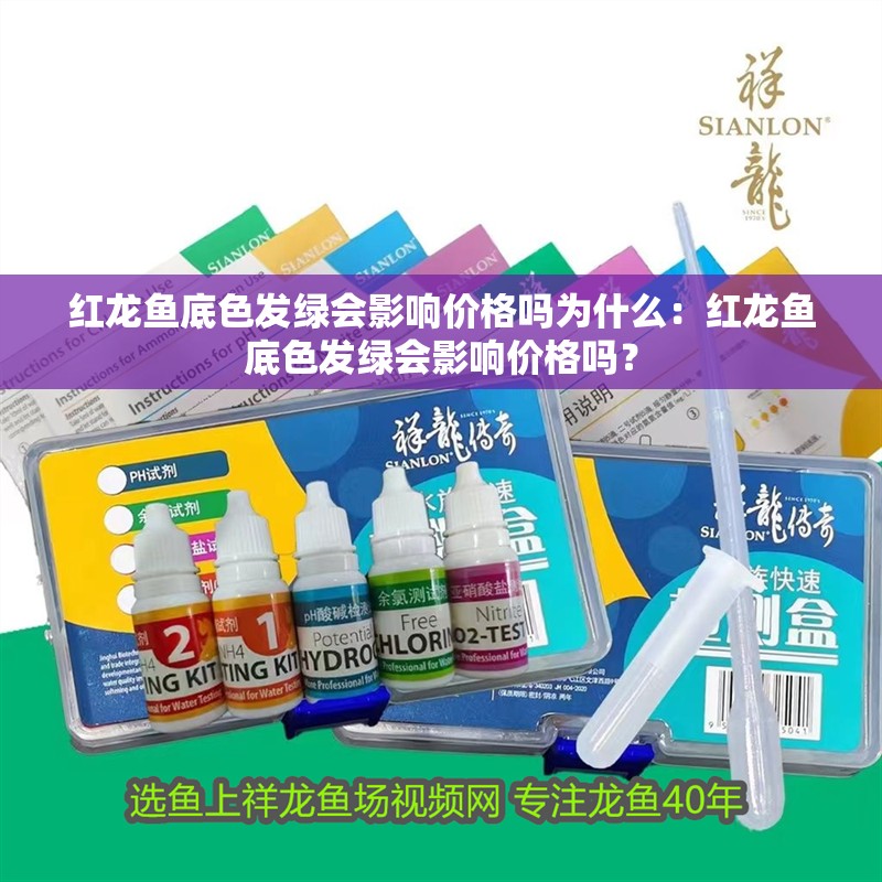 紅龍魚(yú)底色發(fā)綠會(huì)影響價(jià)格嗎為什么：紅龍魚(yú)底色發(fā)綠會(huì)影響價(jià)格嗎？