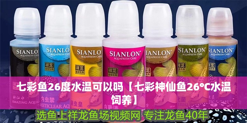 七彩魚26度水溫可以嗎【七彩神仙魚26℃水溫飼養】