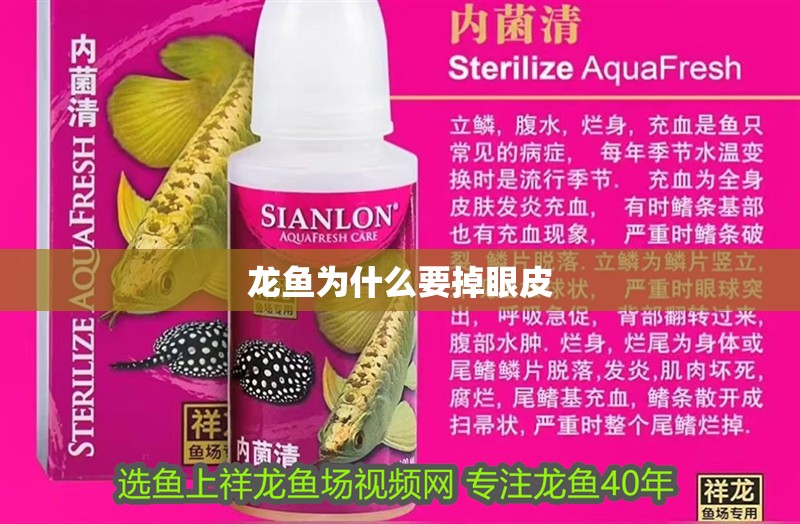龍魚為什么要掉眼皮