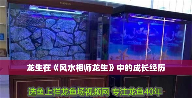 龍生在《風水相師龍生》中的成長經歷