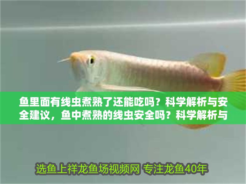魚里面有線蟲煮熟了還能吃嗎？科學(xué)解析與安全建議，魚中煮熟的線蟲安全嗎？科學(xué)解析與食用建議