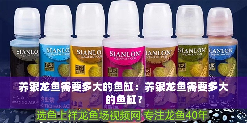 養銀龍魚需要多大的魚缸：養銀龍魚需要多大的魚缸？
