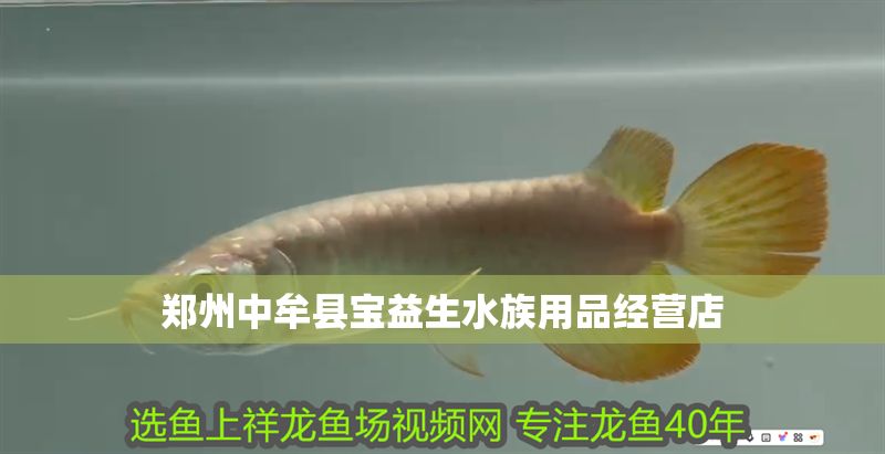 鄭州中牟縣寶益生水族用品經營店 鄭州中牟縣寶益生水族用品經營店 全國水族館企業名錄 第1張