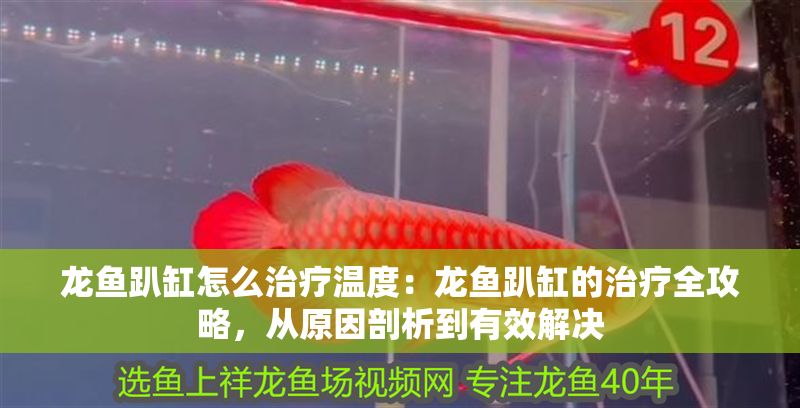 龍魚趴缸怎么治療溫度：龍魚趴缸的治療全攻略，從原因剖析到有效解決