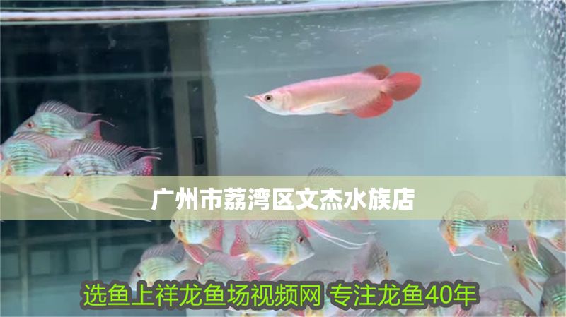 廣州市荔灣區(qū)文杰水族店 廣州市荔灣區(qū)文杰水族店 全國(guó)水族館企業(yè)名錄 第1張