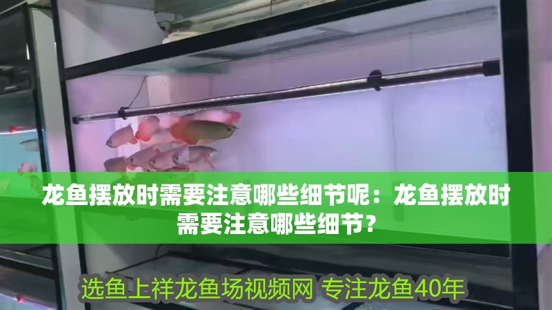 龍魚擺放時需要注意哪些細節呢：龍魚擺放時需要注意哪些細節？