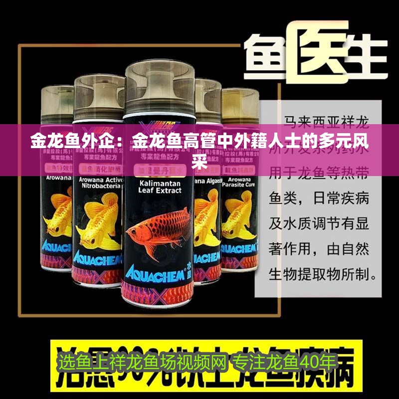 金龍魚外企：金龍魚高管中外籍人士的多元風采