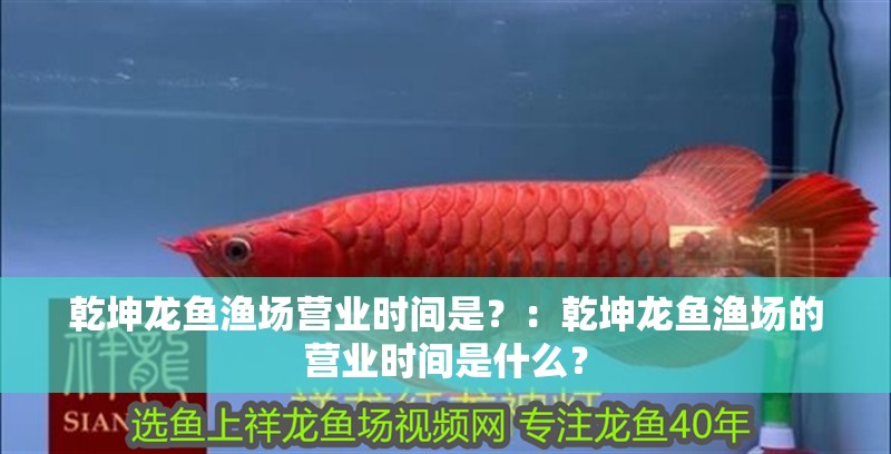 乾坤龍魚漁場(chǎng)營(yíng)業(yè)時(shí)間是？：乾坤龍魚漁場(chǎng)的營(yíng)業(yè)時(shí)間是什么？