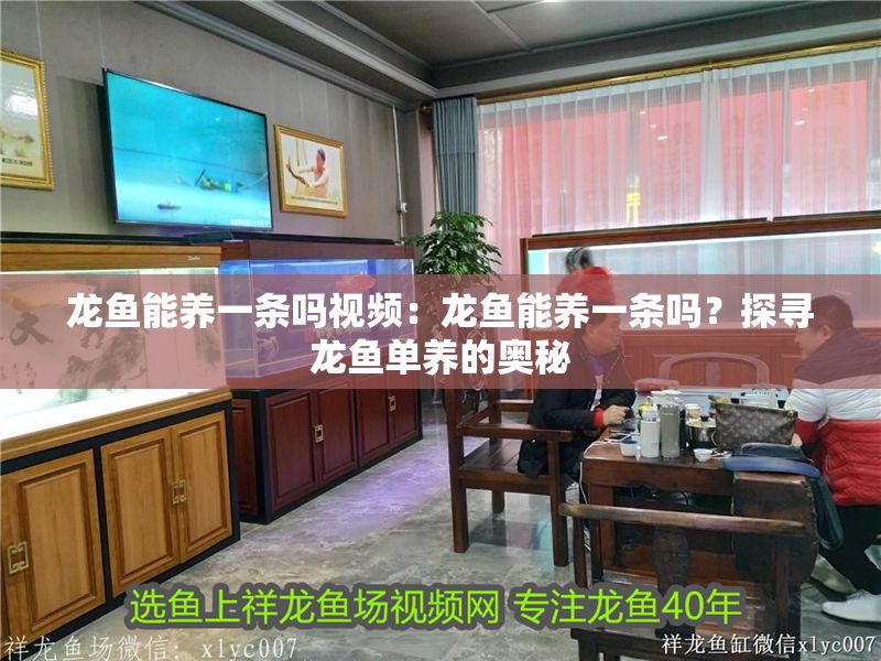 龍魚能養(yǎng)一條嗎視頻：龍魚能養(yǎng)一條嗎？探尋龍魚單養(yǎng)的奧秘
