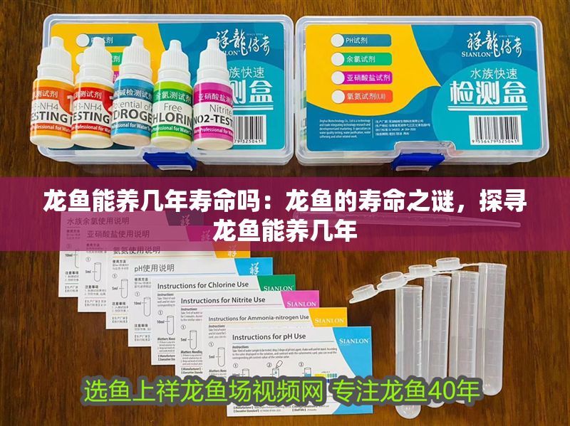 龍魚能養(yǎng)幾年壽命嗎：龍魚的壽命之謎，探尋龍魚能養(yǎng)幾年