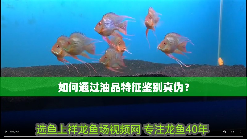 如何通過油品特征鑒別真偽？ 如何通過油品特征鑒別真偽？ 龍魚百科