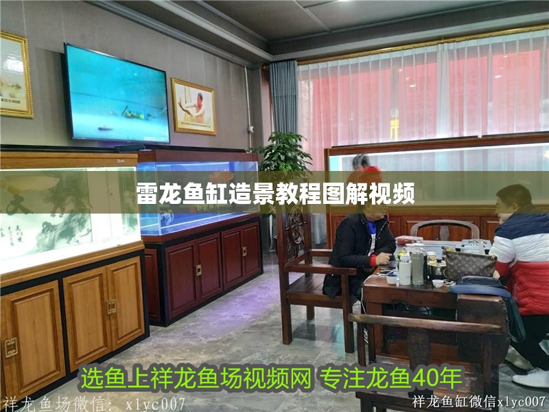 雷龍魚缸造景教程圖解視頻