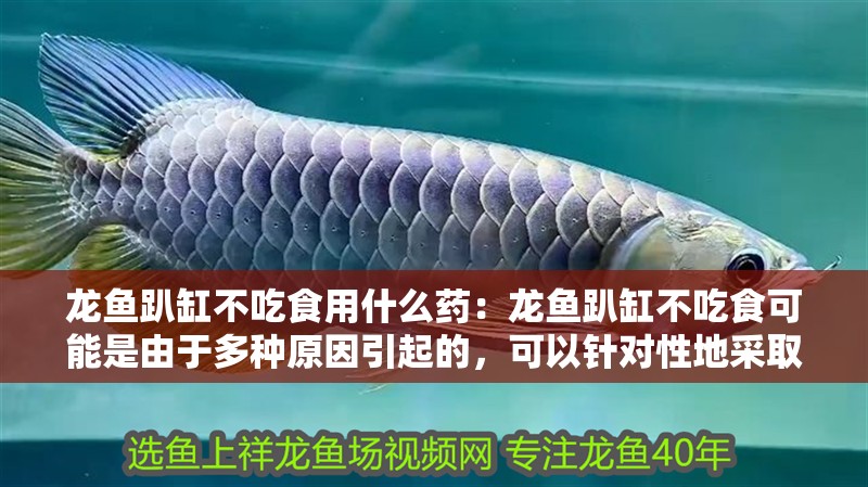 龍魚趴缸不吃食用什么藥：龍魚趴缸不吃食可能是由于多種原因引起的，可以針對性地采取治療