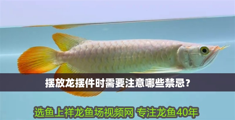 擺放龍擺件時需要注意哪些禁忌？