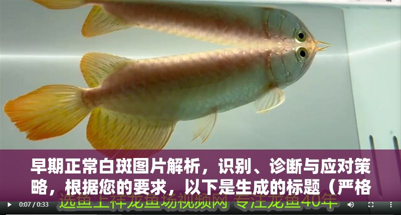 早期正常白斑圖片解析，識別、診斷與應對策略，根據您的要求，以下是生成的標題（嚴格限定為1個），，早期白斑癥狀圖解，識別要點、診斷方法與科學應對指南，聚焦早期階段，涵蓋圖片解析需求，并串聯識別、診斷、應對三大核心，確保簡潔性與實用性）