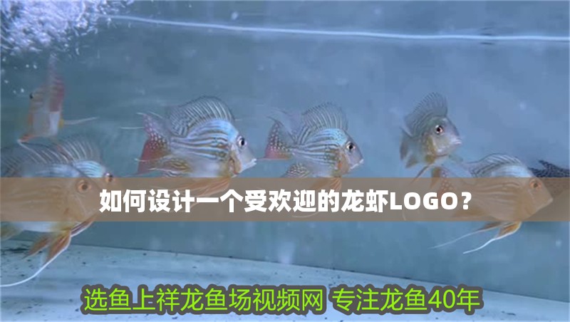 如何設(shè)計一個受歡迎的龍蝦LOGO？