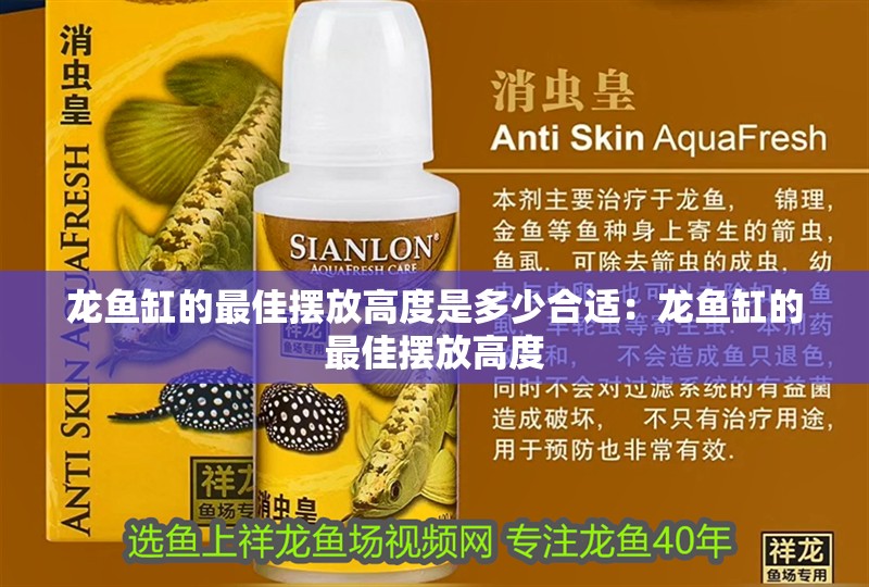 龍魚缸的最佳擺放高度是多少合適：龍魚缸的最佳擺放高度