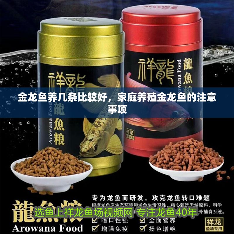 金龍魚養(yǎng)幾條比較好，家庭養(yǎng)殖金龍魚的注意事項(xiàng)