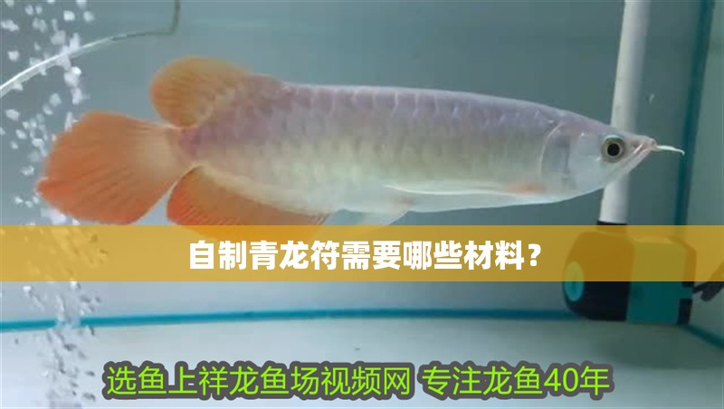 自制青龍符需要哪些材料？