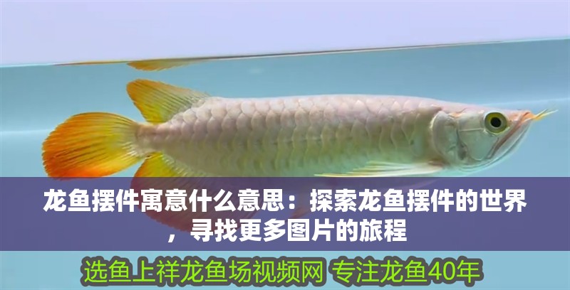 龍魚擺件寓意什么意思：探索龍魚擺件的世界，尋找更多圖片的旅程