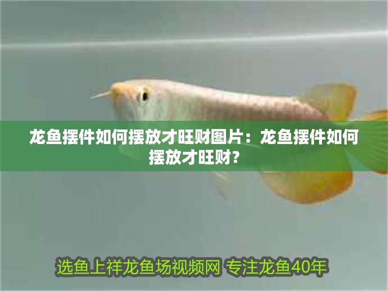 龍魚擺件如何擺放才旺財(cái)圖片：龍魚擺件如何擺放才旺財(cái)？