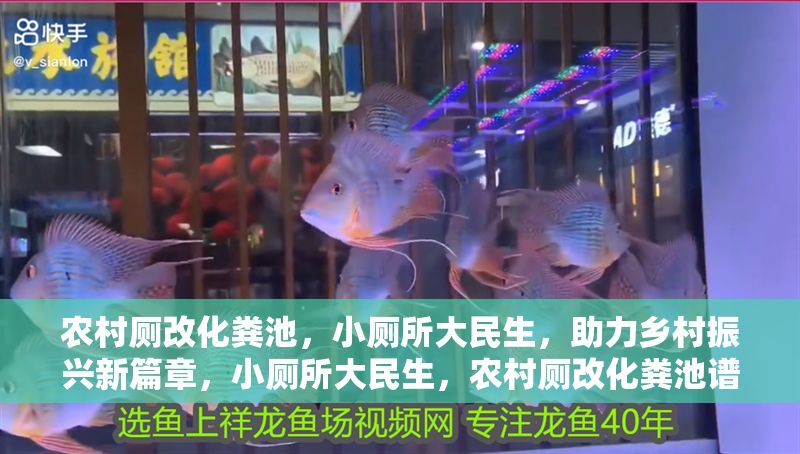 農(nóng)村廁改化糞池，小廁所大民生，助力鄉(xiāng)村振興新篇章，小廁所大民生，農(nóng)村廁改化糞池譜寫鄉(xiāng)村振興新篇章