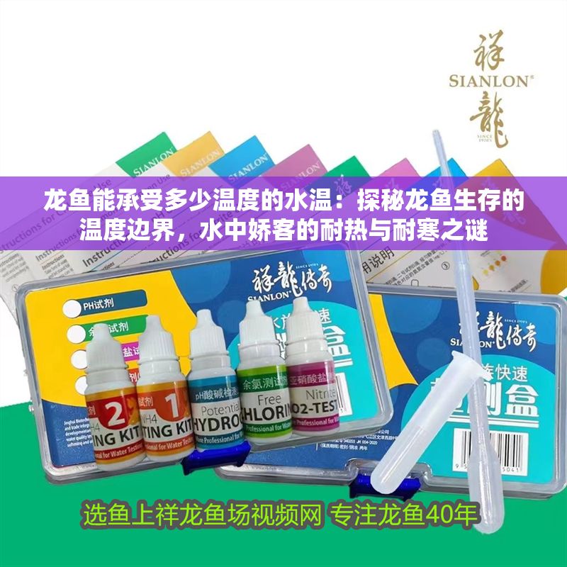 龍魚能承受多少溫度的水溫：探秘龍魚生存的溫度邊界，水中嬌客的耐熱與耐寒之謎