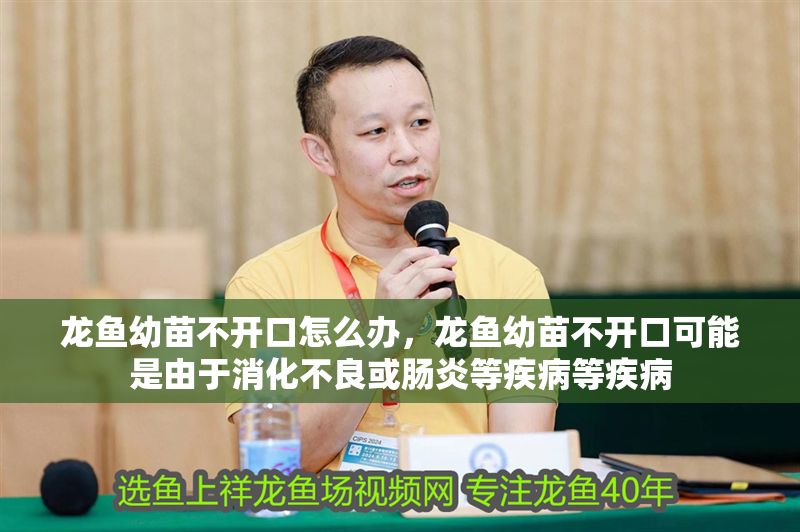 龍魚(yú)幼苗不開(kāi)口怎么辦，龍魚(yú)幼苗不開(kāi)口可能是由于消化不良或腸炎等疾病等疾病