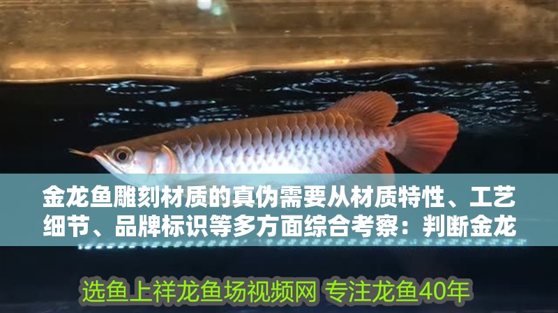 金龍魚(yú)雕刻材質(zhì)的真?zhèn)涡枰獜牟馁|(zhì)特性、工藝細(xì)節(jié)、品牌標(biāo)識(shí)等多方面綜合考察：判斷金龍魚(yú)雕刻材質(zhì)的真?zhèn)涡枰獜牟馁|(zhì)特性、工藝細(xì)節(jié)、品牌標(biāo)識(shí)等多方面綜合考察