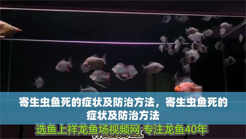 寄生蟲魚死的癥狀及防治方法，寄生蟲魚死的癥狀及防治方法