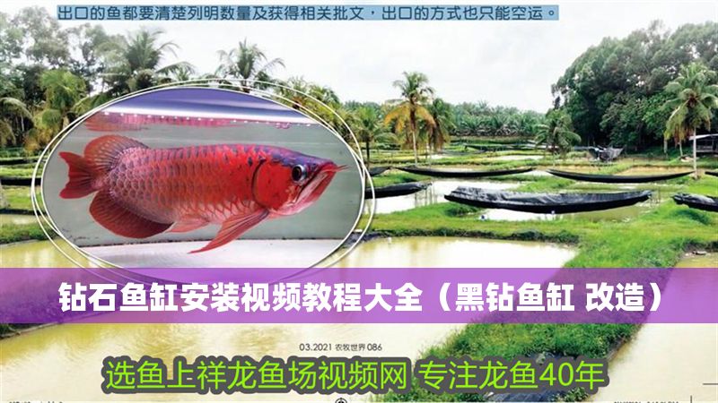 鉆石魚缸安裝視頻教程大全（黑鉆魚缸 改造）