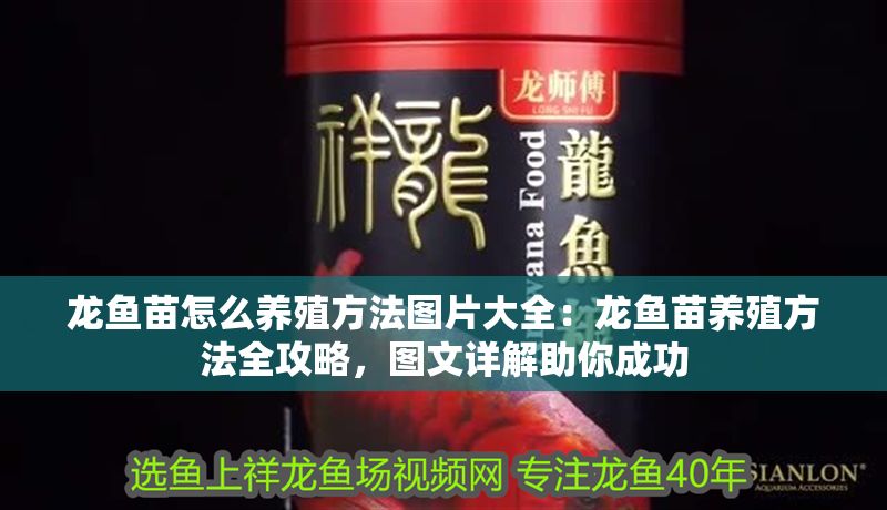 龍魚苗怎么養(yǎng)殖方法圖片大全：龍魚苗養(yǎng)殖方法全攻略，圖文詳解助你成功