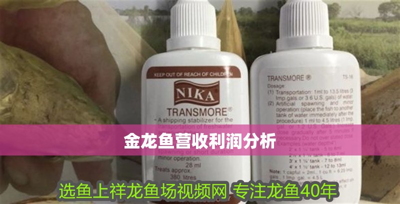 金龍魚營收利潤分析