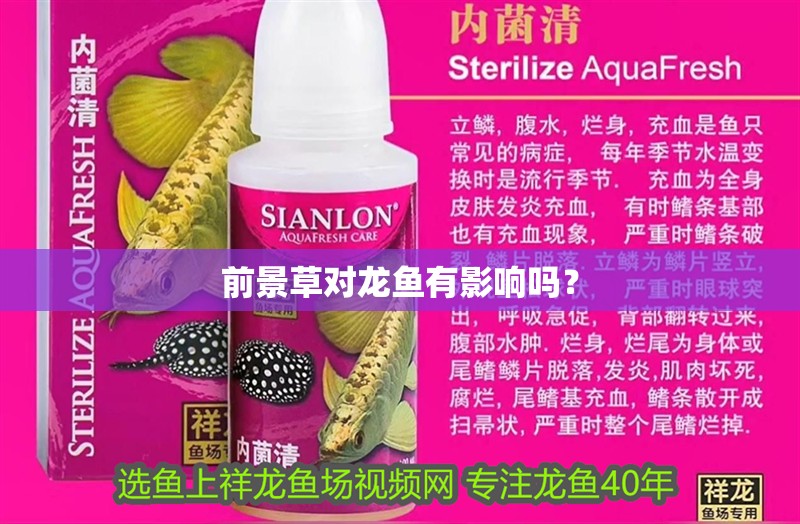 前景草對(duì)龍魚(yú)有影響嗎？