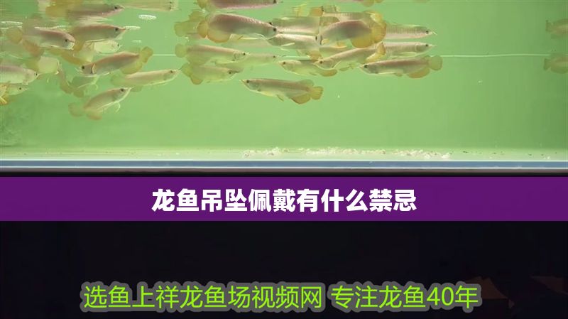 龍魚吊墜佩戴有什么禁忌