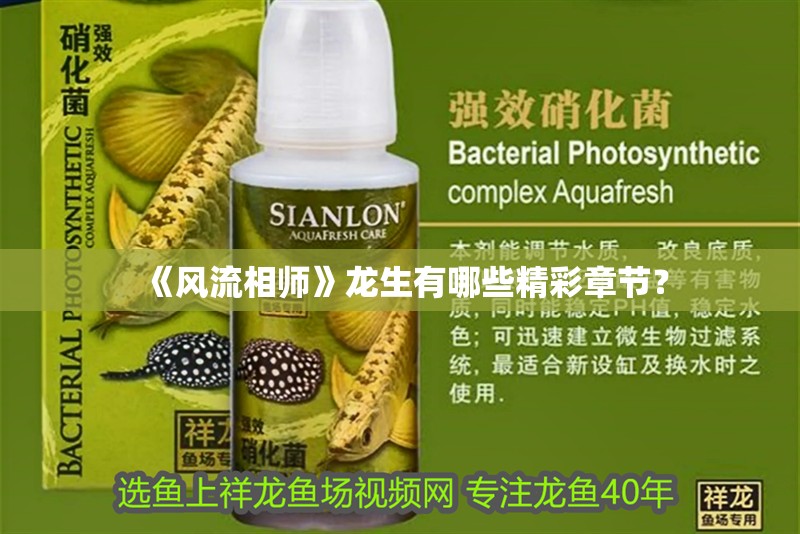 《風流相師》龍生有哪些精彩章節？