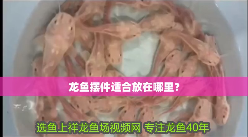 龍魚擺件適合放在哪里？