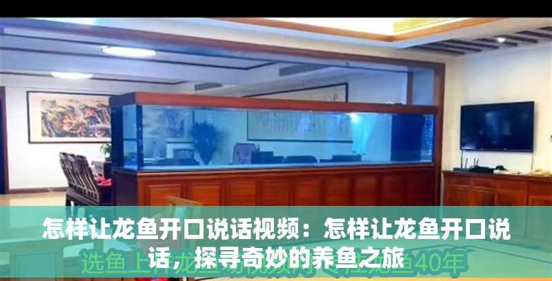 怎樣讓龍魚開口說話視頻：怎樣讓龍魚開口說話，探尋奇妙的養(yǎng)魚之旅