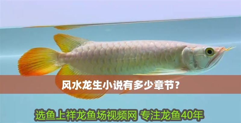 風水龍生小說有多少章節？