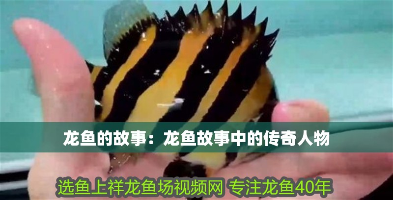 龍魚的故事：龍魚故事中的傳奇人物