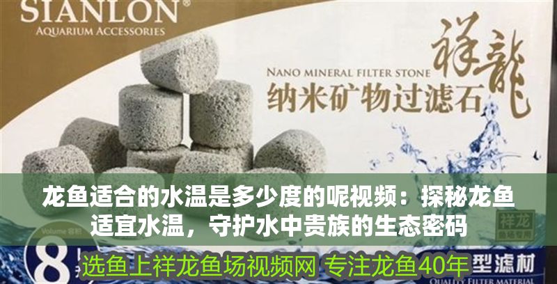 龍魚適合的水溫是多少度的呢視頻：探秘龍魚適宜水溫，守護水中貴族的生態密碼