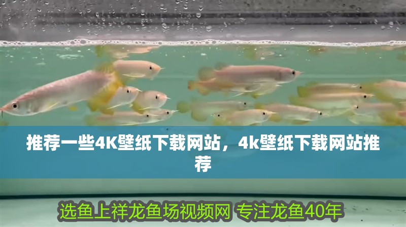 推薦一些4K壁紙下載網站，4k壁紙下載網站推薦