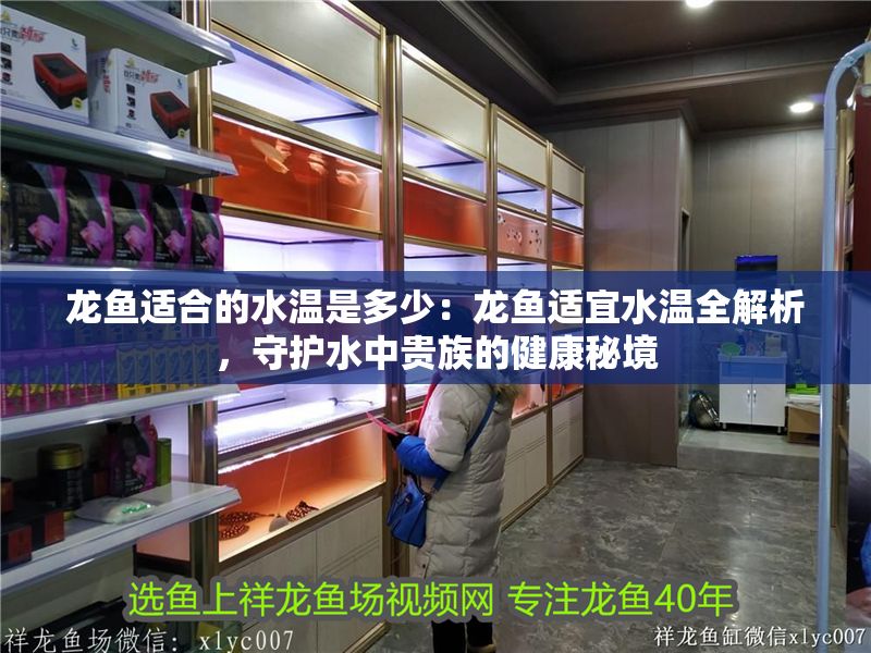 龍魚適合的水溫是多少：龍魚適宜水溫全解析，守護水中貴族的健康秘境
