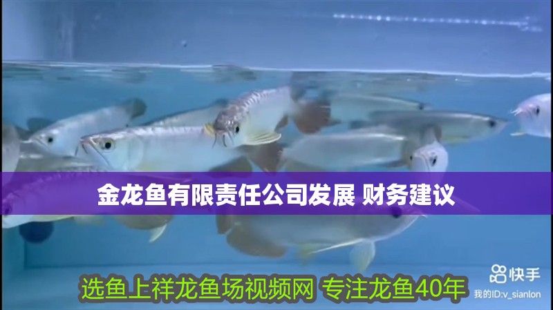 金龍魚有限責(zé)任公司發(fā)展 財(cái)務(wù)建議