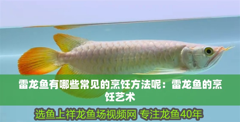 雷龍魚有哪些常見的烹飪方法呢：雷龍魚的烹飪藝術(shù)