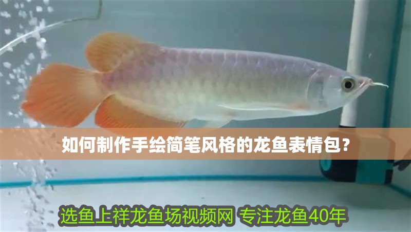 如何制作手繪簡筆風格的龍魚表情包？