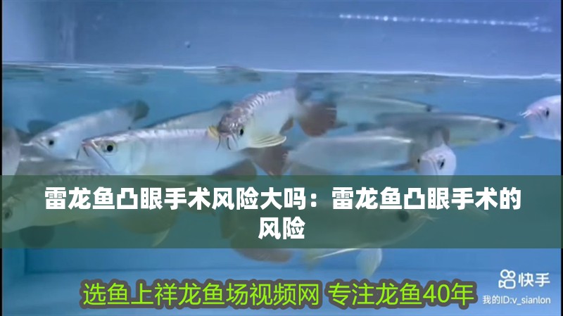 雷龍魚凸眼手術風險大嗎：雷龍魚凸眼手術的風險
